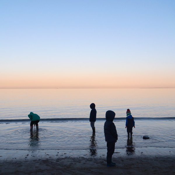 The Promenader by David Williams